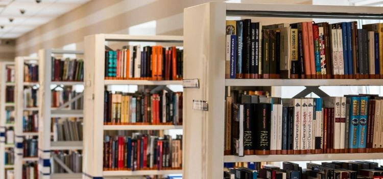 Newsletter – Books Update – 1